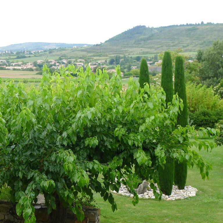 Готель Domaine De La Manse Вільнев-де-Бер Екстер'єр фото